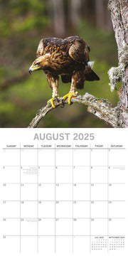 Country Wildlife - 2025 Square Wall Calendar Animals 16 Months Premium Planner V474-689607