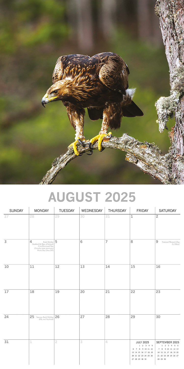 Country Wildlife - 2025 Square Wall Calendar Animals 16 Months Premium Planner V474-689607