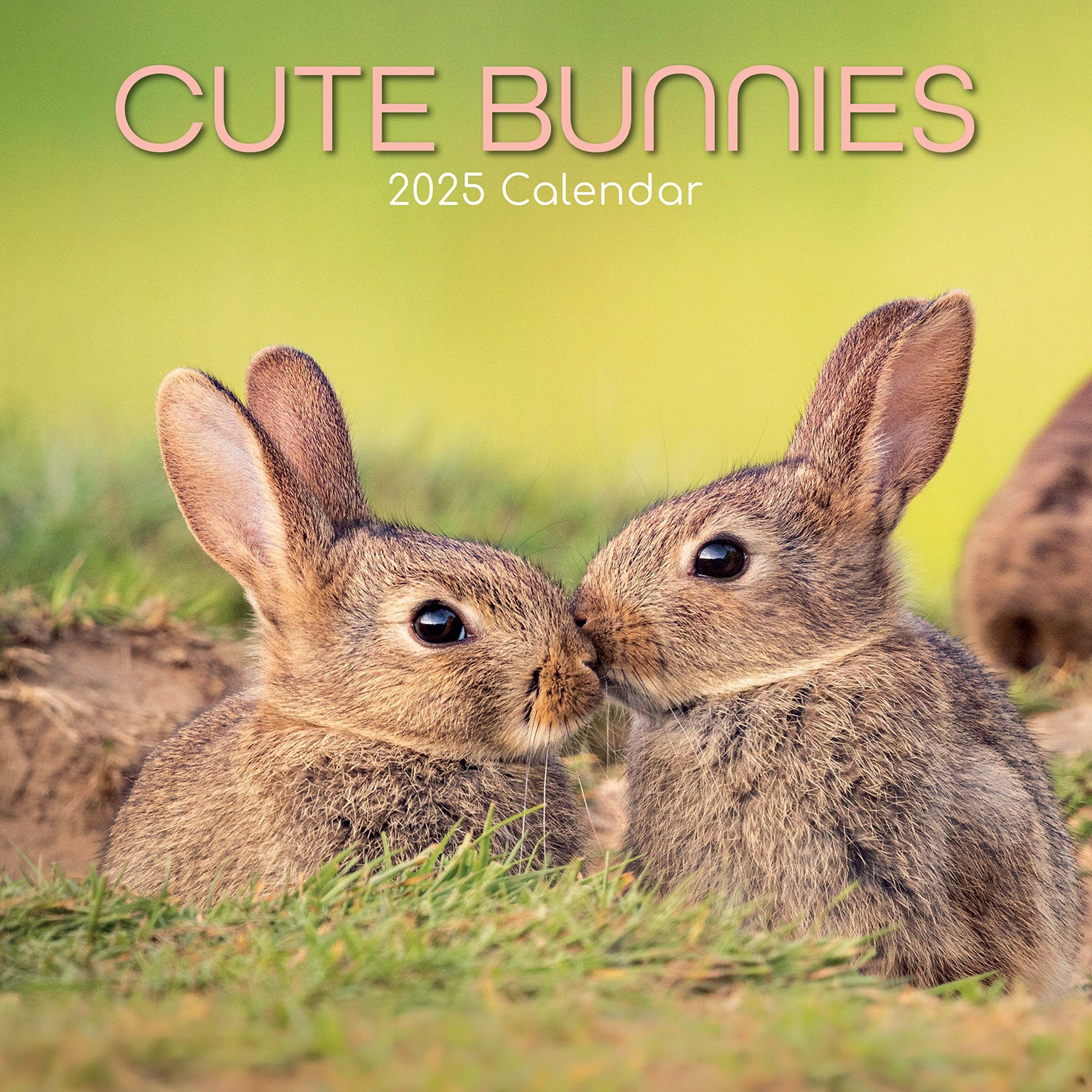 Cute Bunnies - 2025 Square Wall Calendar Pets Animals 16 Months Premium Planner V474-689609