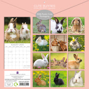 Cute Bunnies - 2025 Square Wall Calendar Pets Animals 16 Months Premium Planner V474-689609