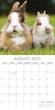 Cute Bunnies - 2025 Square Wall Calendar Pets Animals 16 Months Premium Planner V474-689609