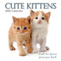 Cute Kittens - 2025 Square Wall Calendar Pets Animals 16 Months Premium Planner V474-689610