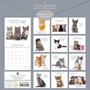 Cute Kittens - 2025 Square Wall Calendar Pets Animals 16 Months Premium Planner V474-689610