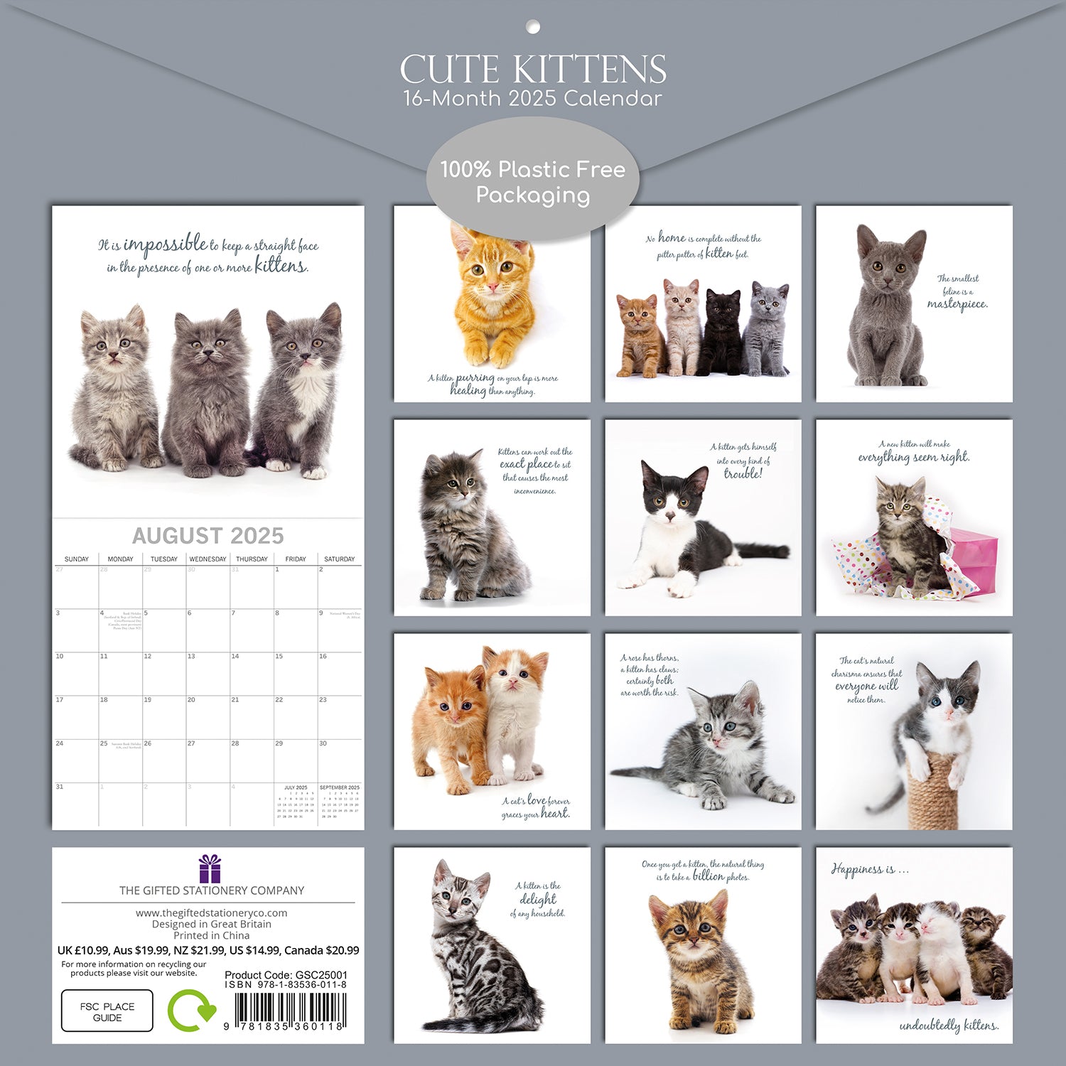 Cute Kittens - 2025 Square Wall Calendar Pets Animals 16 Months Premium Planner V474-689610