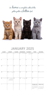 Cute Kittens - 2025 Square Wall Calendar Pets Animals 16 Months Premium Planner V474-689610
