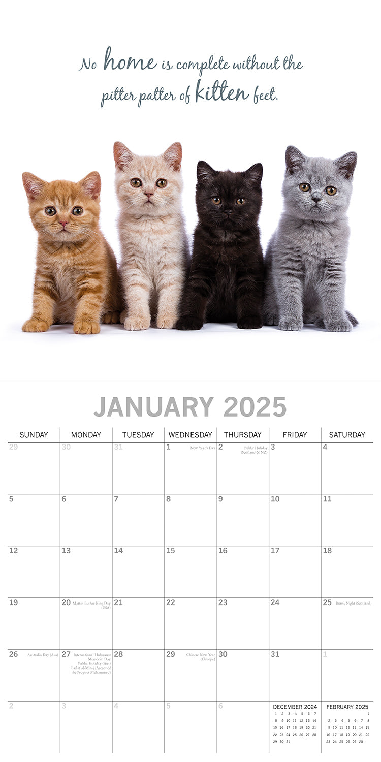 Cute Kittens - 2025 Square Wall Calendar Pets Animals 16 Months Premium Planner V474-689610