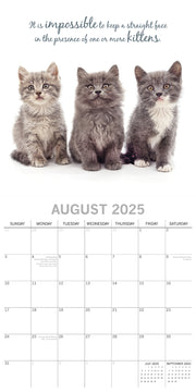 Cute Kittens - 2025 Square Wall Calendar Pets Animals 16 Months Premium Planner V474-689610