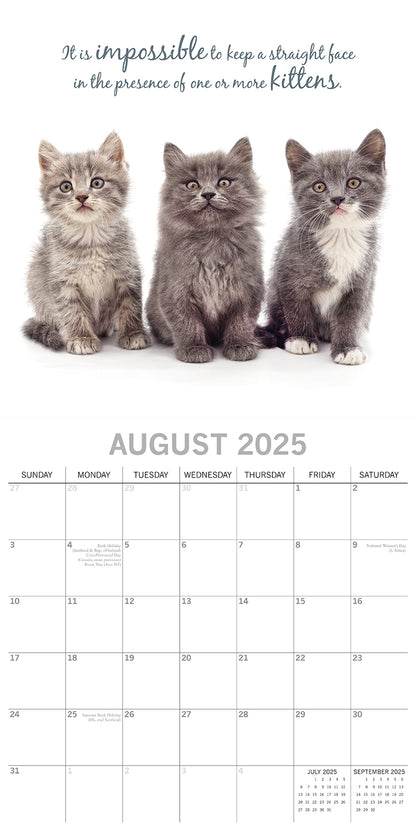 Cute Kittens - 2025 Square Wall Calendar Pets Animals 16 Months Premium Planner V474-689610