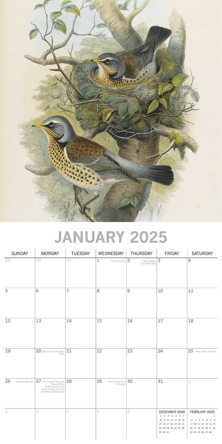Garden Birds - 2025 Square Wall Calendar Pets Animals 16 Months Premium Planner V474-689617