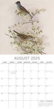 Garden Birds - 2025 Square Wall Calendar Pets Animals 16 Months Premium Planner V474-689617