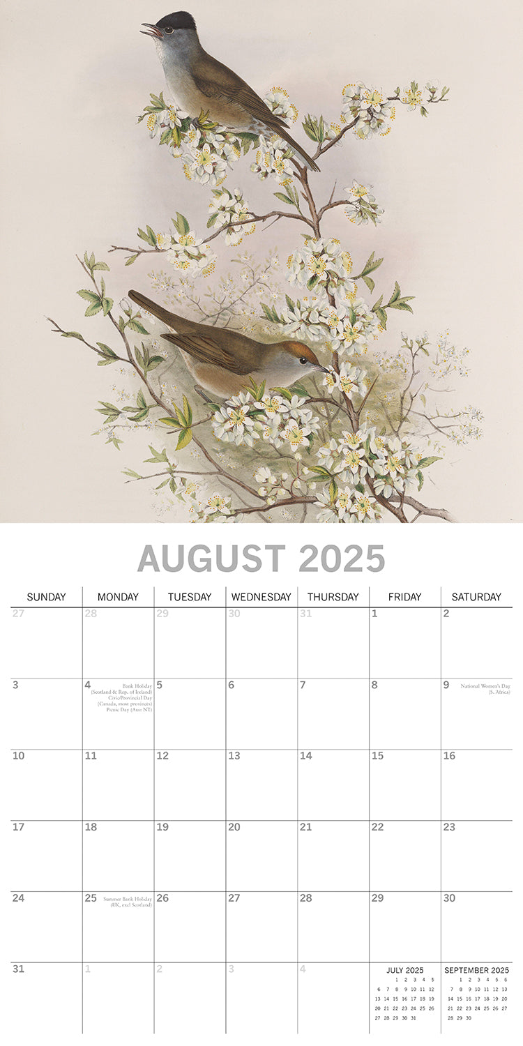 Garden Birds - 2025 Square Wall Calendar Pets Animals 16 Months Premium Planner V474-689617