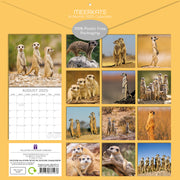Meerkats - 2025 Square Wall Calendar Pets Animals 16 Months Premium Planner Gift V474-689625