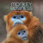 Monkey Business 2025 Square Wall Calendar Animals 16 Months Premium Planner Gift V474-689626