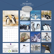 Penguins - 2025 Square Wall Calendar Pets Animals 16 Months Premium Planner Gift V474-689628