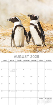 Penguins - 2025 Square Wall Calendar Pets Animals 16 Months Premium Planner Gift V474-689628