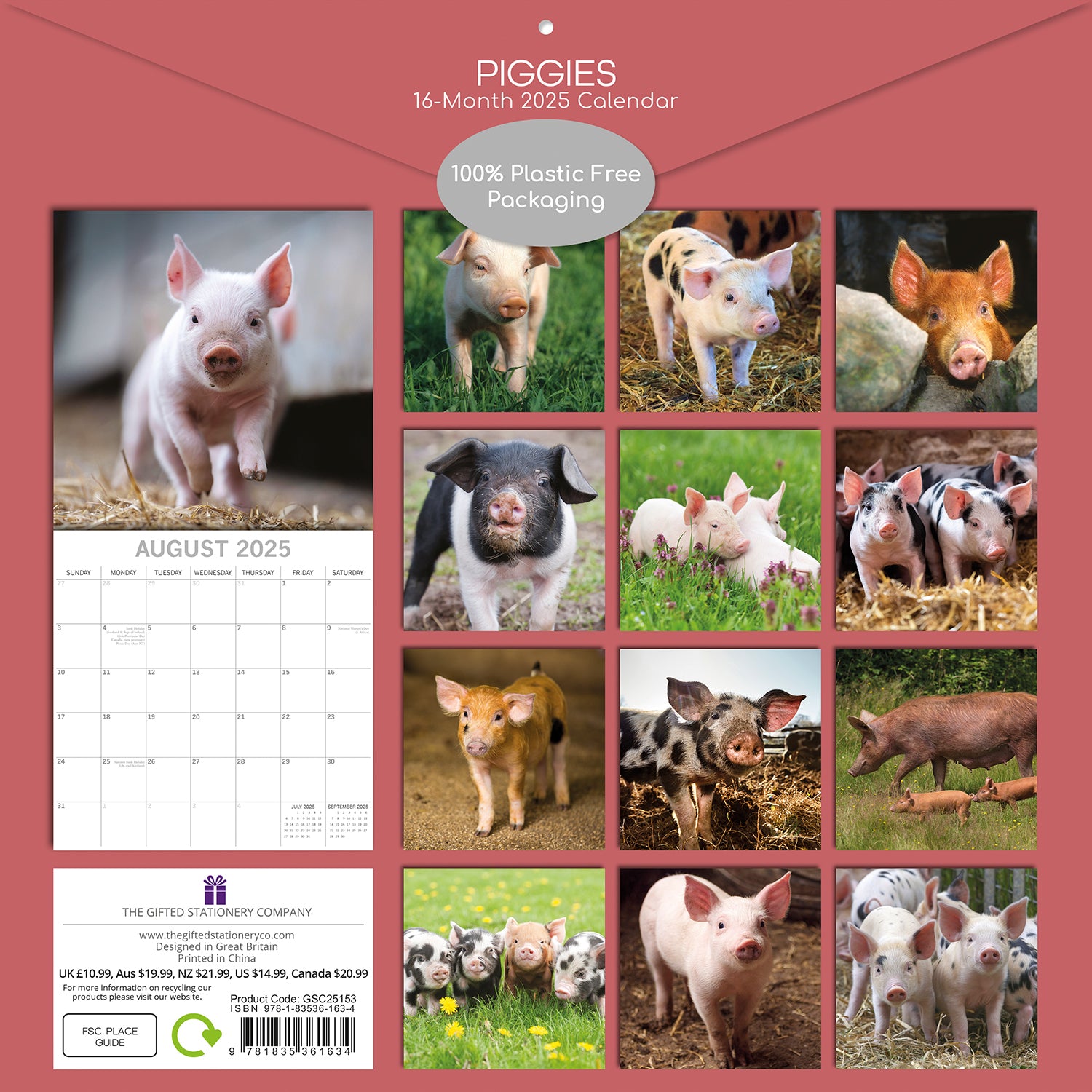 Piggies - 2025 Square Wall Calendar Pets Animals 16 Months Premium Planner Gift V474-689629