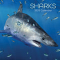 Sharks - 2025 Square Wall Calendar Pets Animals 16 Months Premium Planner Gift V474-689630