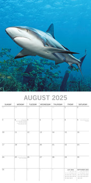 Sharks - 2025 Square Wall Calendar Pets Animals 16 Months Premium Planner Gift V474-689630