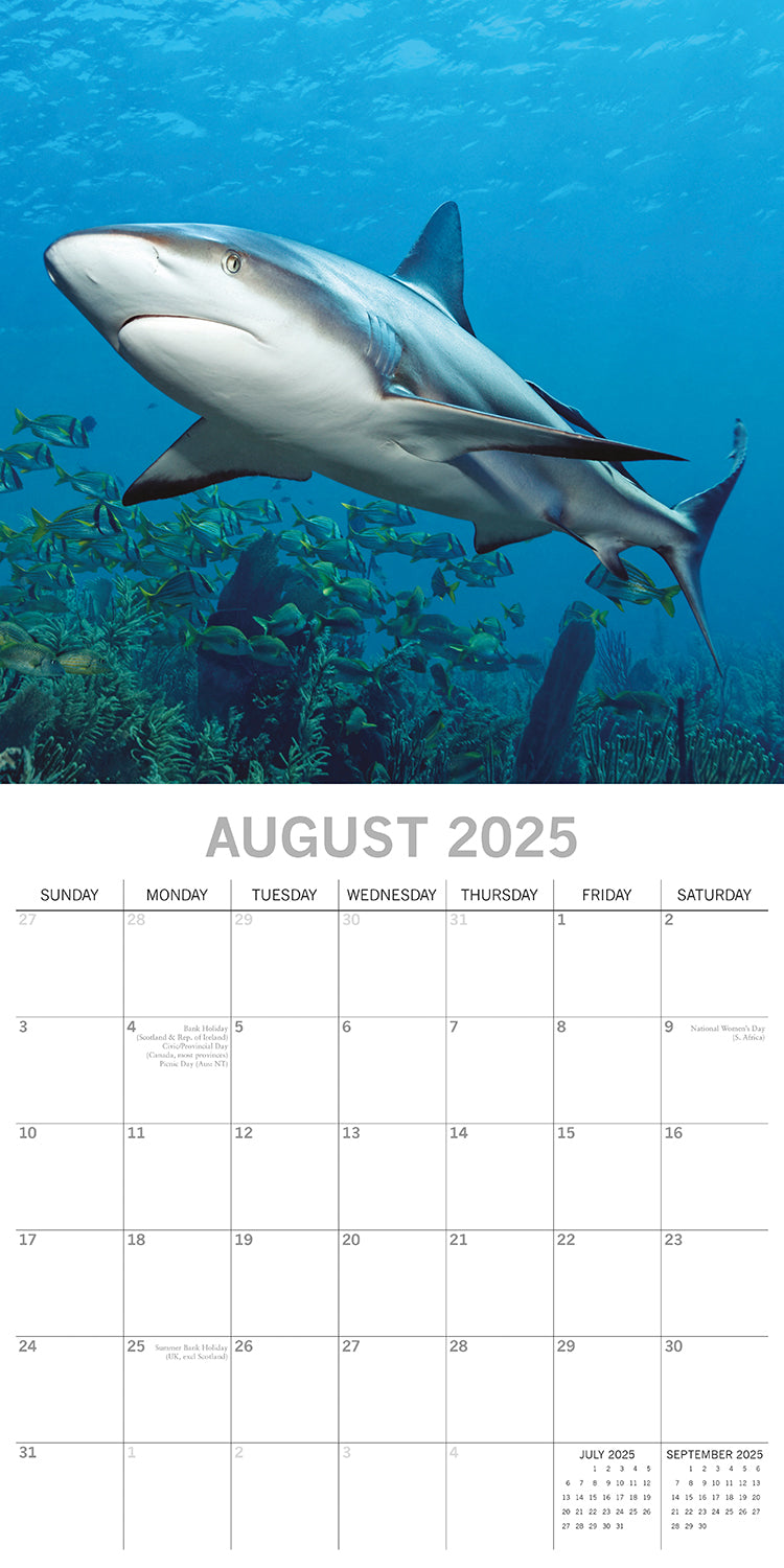 Sharks - 2025 Square Wall Calendar Pets Animals 16 Months Premium Planner Gift V474-689630
