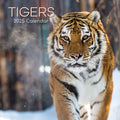 Tigers - 2025 Square Wall Calendar Pets Animals 16 Months Premium Planner Gift V474-689632
