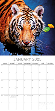 Tigers - 2025 Square Wall Calendar Pets Animals 16 Months Premium Planner Gift V474-689632