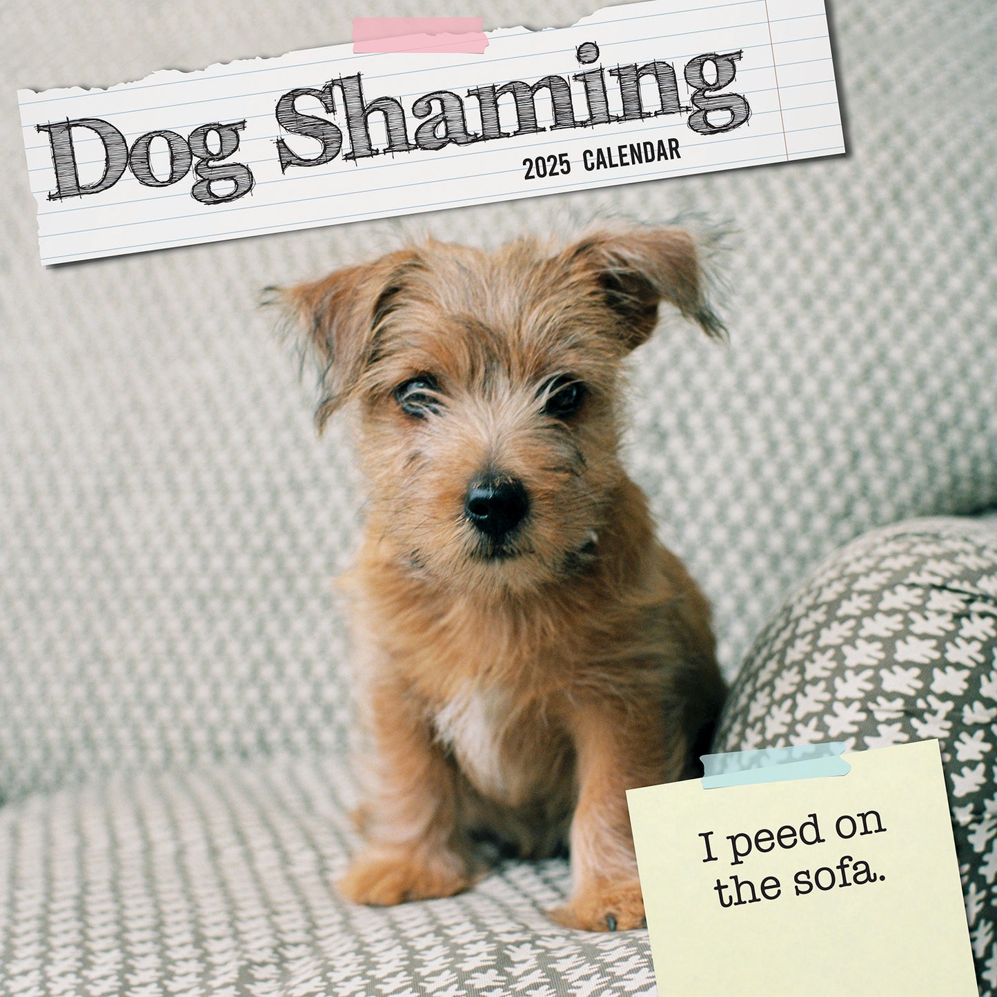 Dog Shaming 2025 Square Wall Calendar Pets Animals 16-Month Premium Planner Gift V474-689764