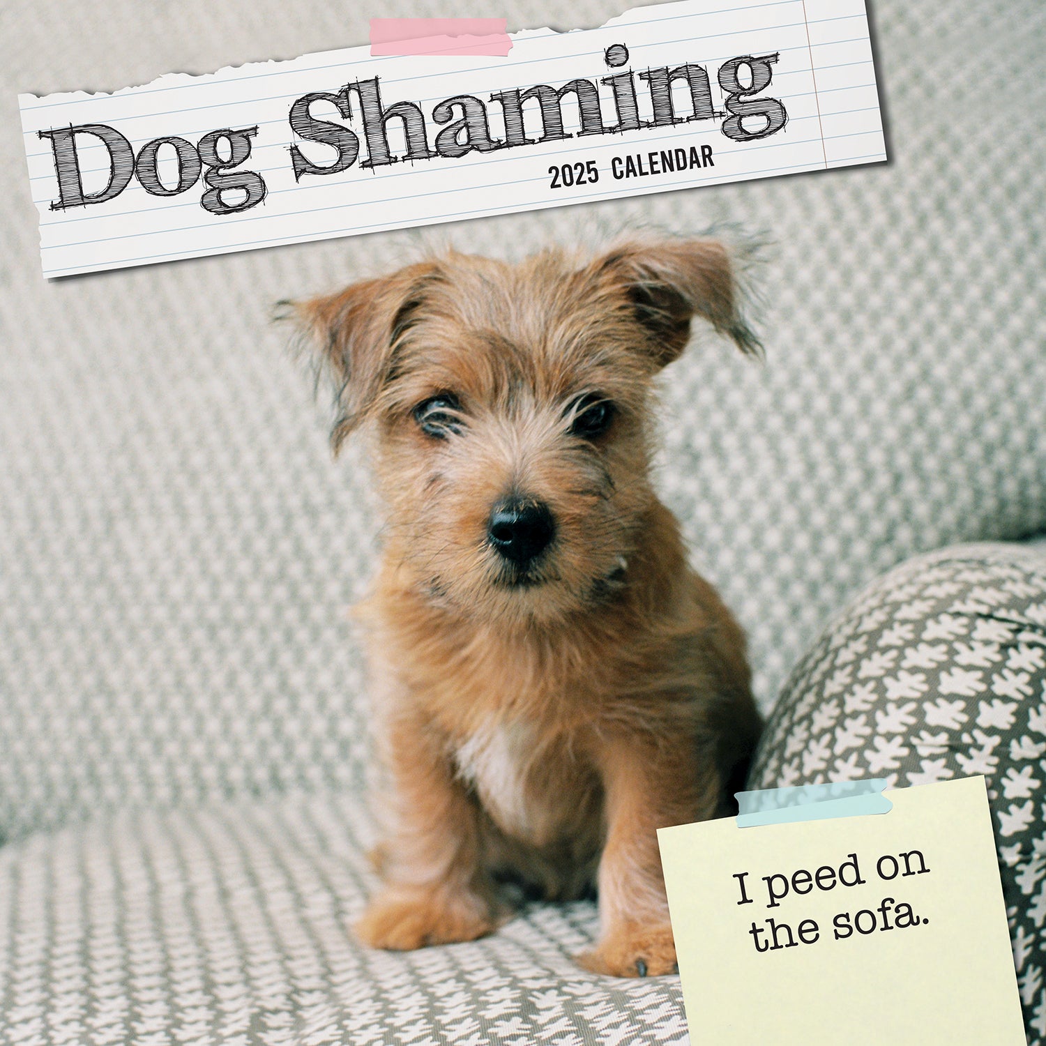 Dog Shaming 2025 Square Wall Calendar Pets Animals 16-Month Premium Planner Gift V474-689764