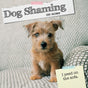Dog Shaming 2025 Square Wall Calendar Pets Animals 16-Month Premium Planner Gift V474-689764