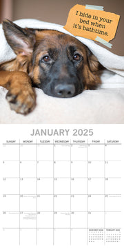 Dog Shaming 2025 Square Wall Calendar Pets Animals 16-Month Premium Planner Gift V474-689764