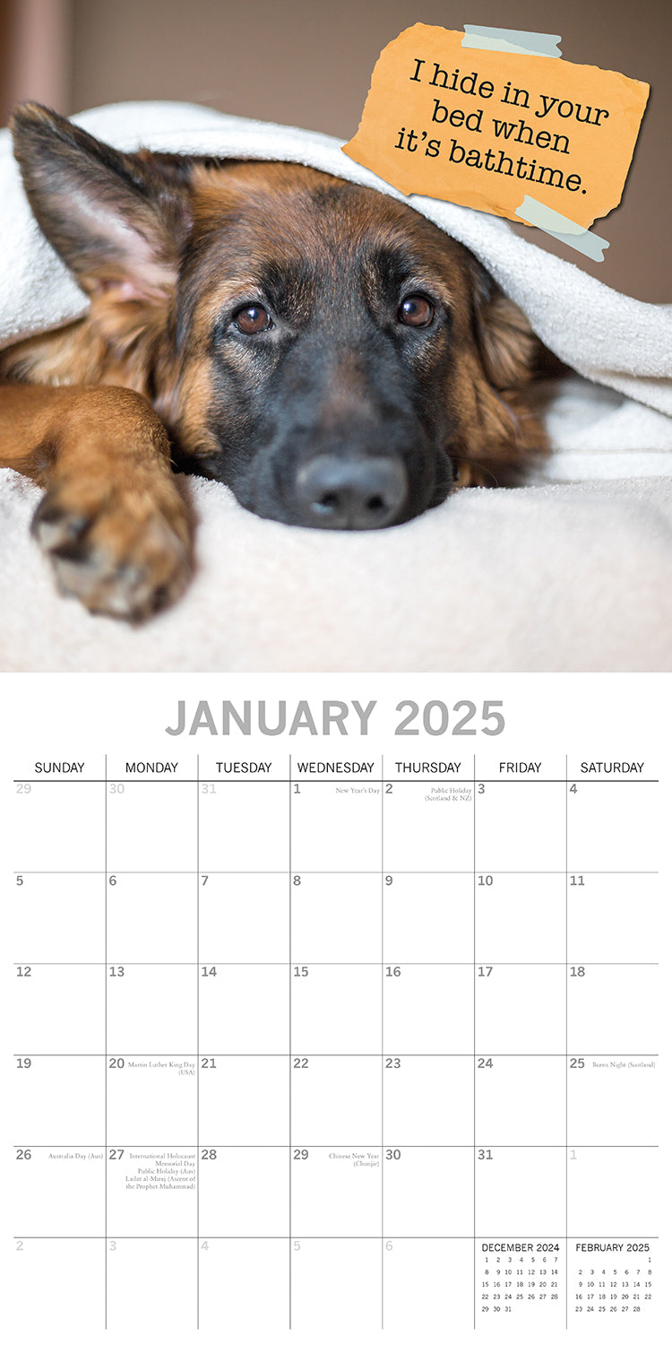 Dog Shaming 2025 Square Wall Calendar Pets Animals 16-Month Premium Planner Gift V474-689764
