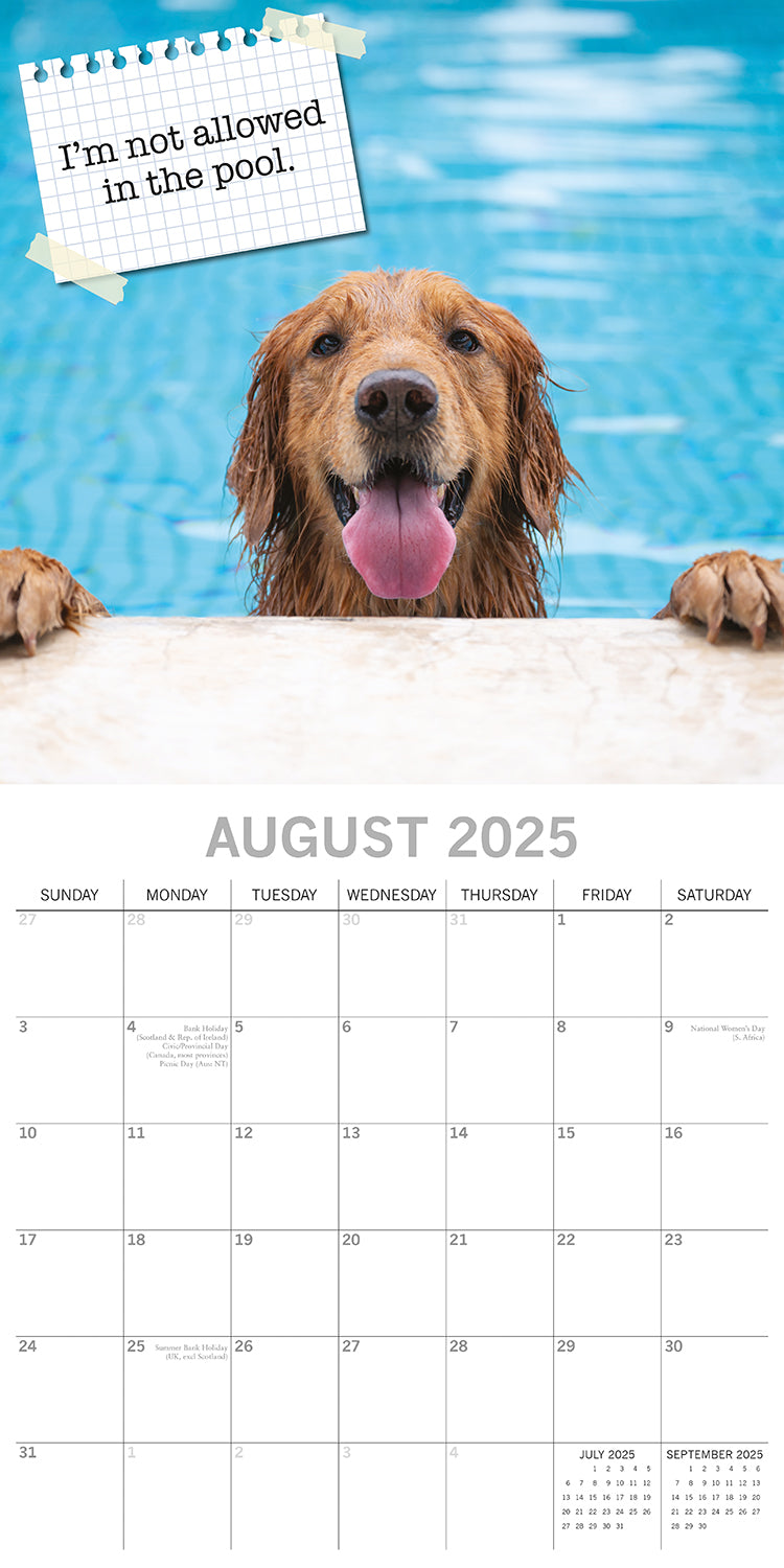 Dog Shaming 2025 Square Wall Calendar Pets Animals 16-Month Premium Planner Gift V474-689764