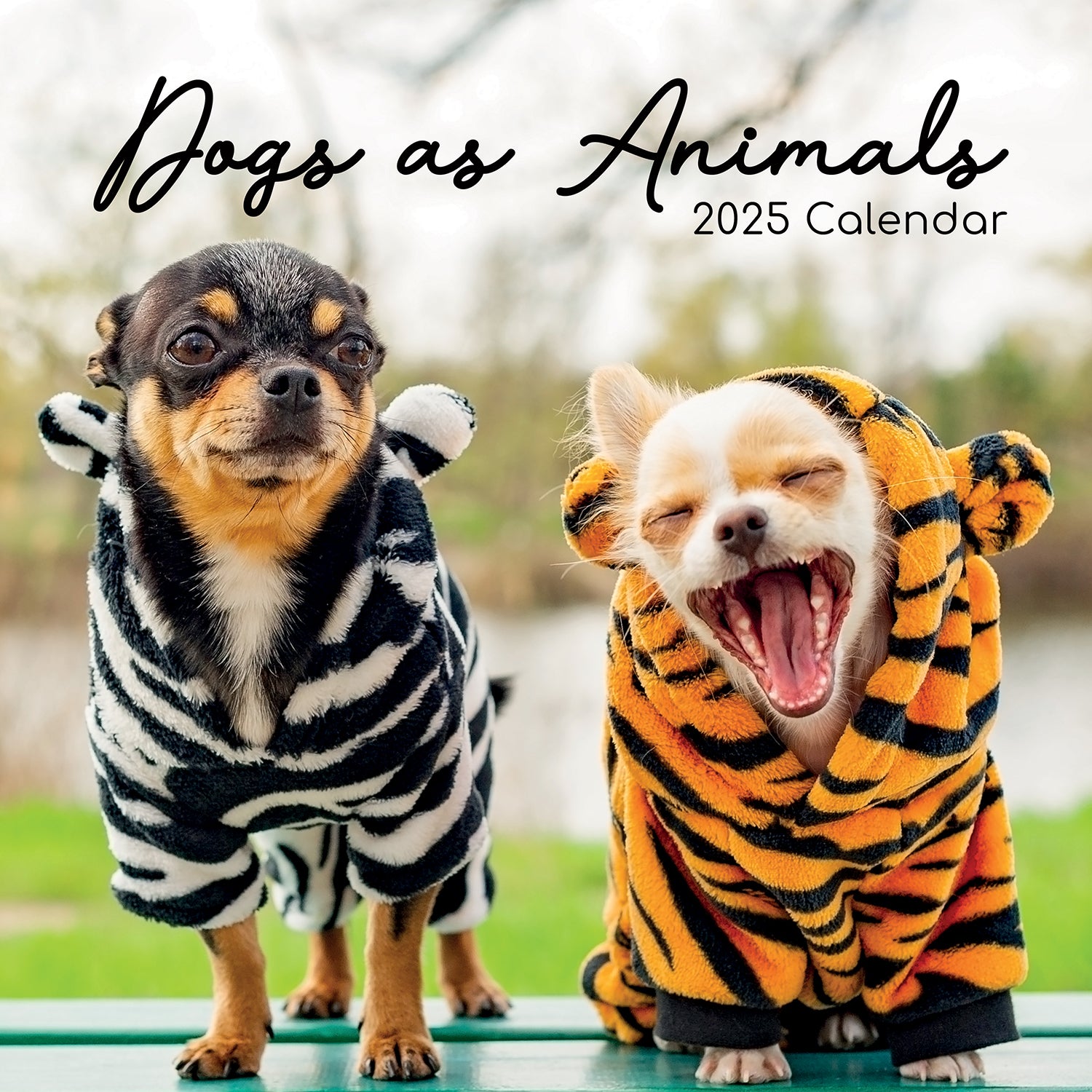 Dogs as Animals - 2025 Square Wall Calendar Pets Animals 16 Months Planner Gift V474-689765