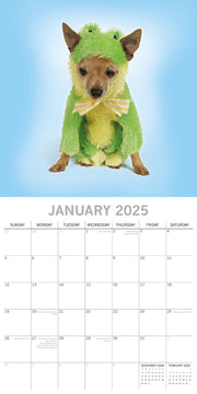 Dogs as Animals - 2025 Square Wall Calendar Pets Animals 16 Months Planner Gift V474-689765
