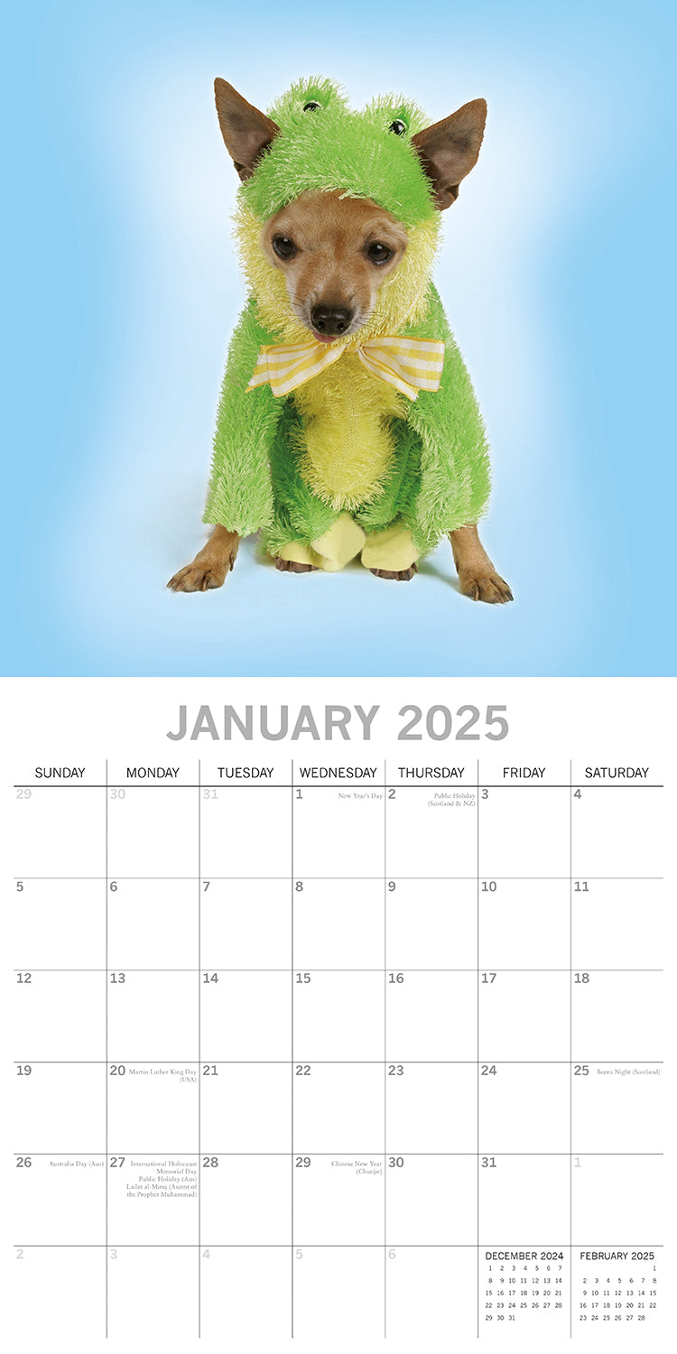 Dogs as Animals - 2025 Square Wall Calendar Pets Animals 16 Months Planner Gift V474-689765
