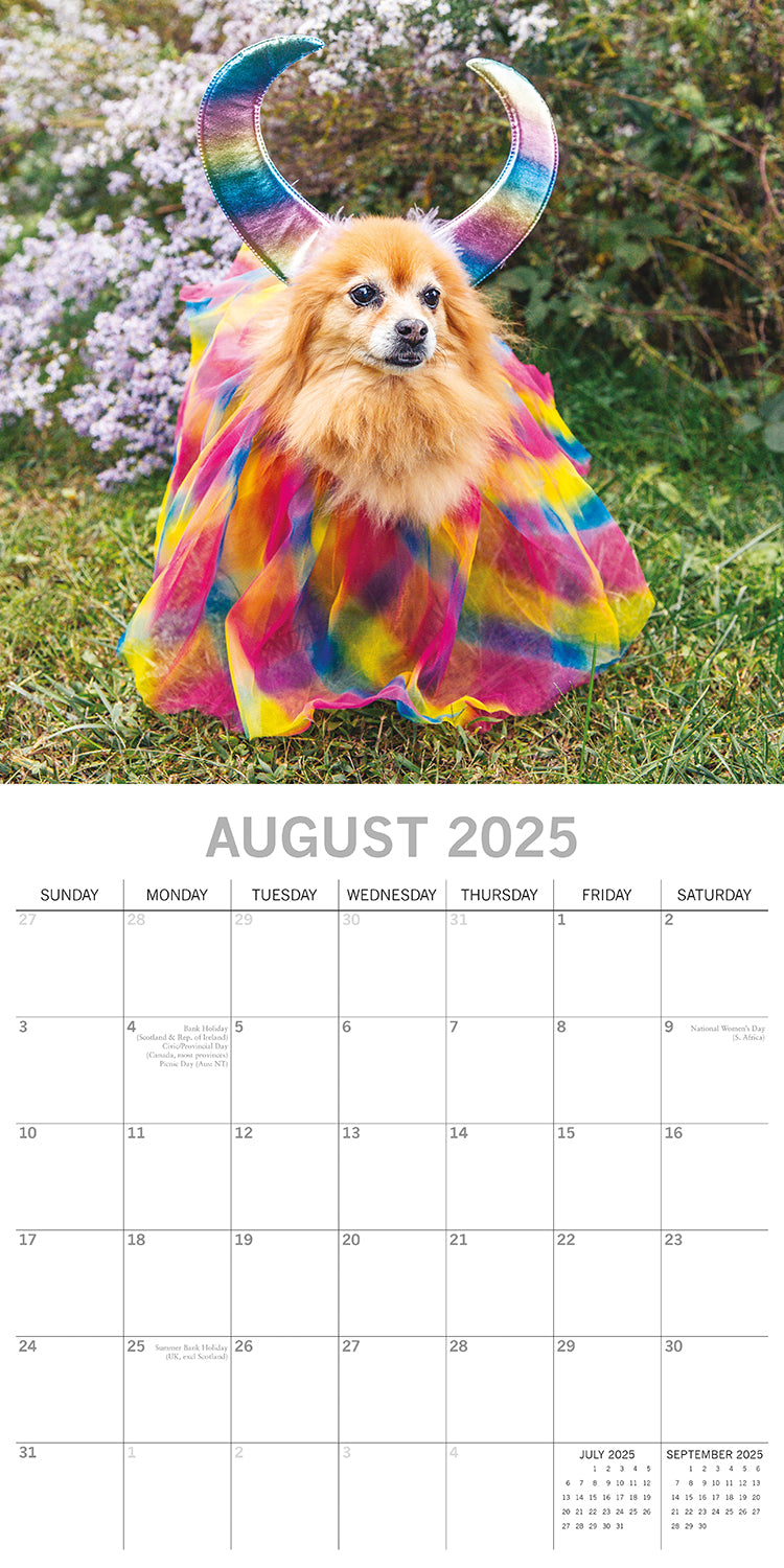Dogs as Animals - 2025 Square Wall Calendar Pets Animals 16 Months Planner Gift V474-689765