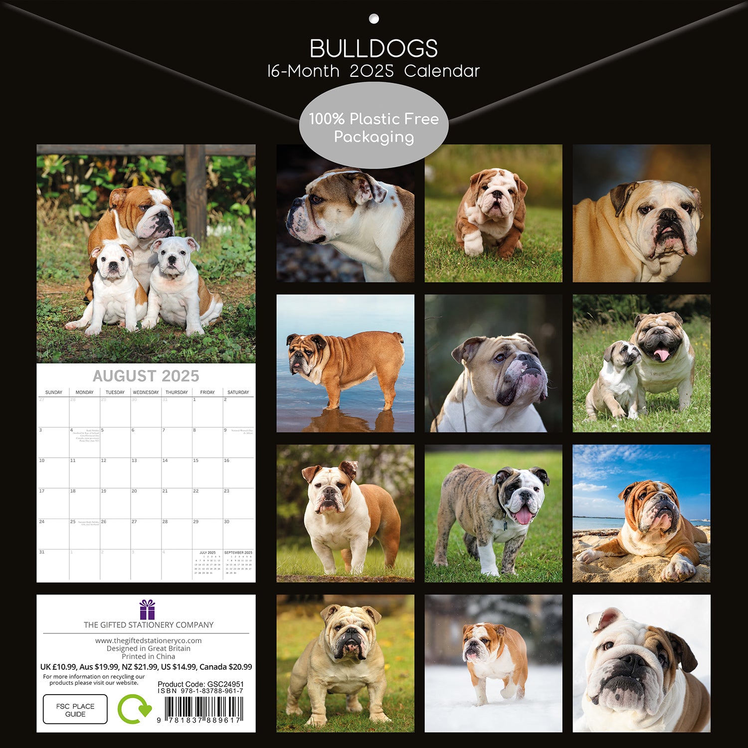Bulldogs - 2025 Square Wall Calendar Dogs Pets Animals 16 Months Premium Planner V474-689777