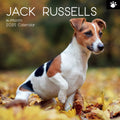 Jack Russells - 2025 Square Wall Calendar Dogs Pets Animals 16 Months Planner V474-689787