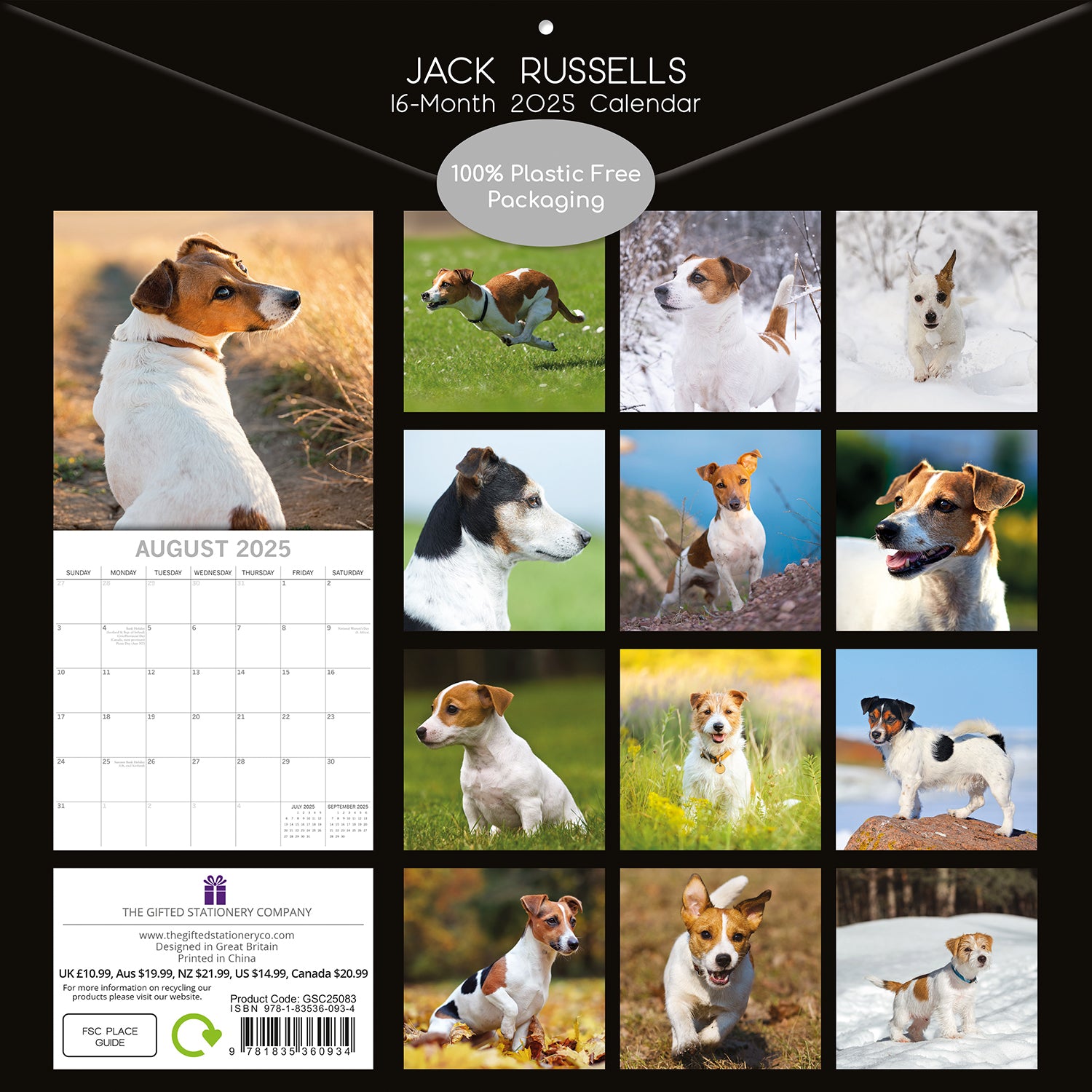 Jack Russells - 2025 Square Wall Calendar Dogs Pets Animals 16 Months Planner V474-689787