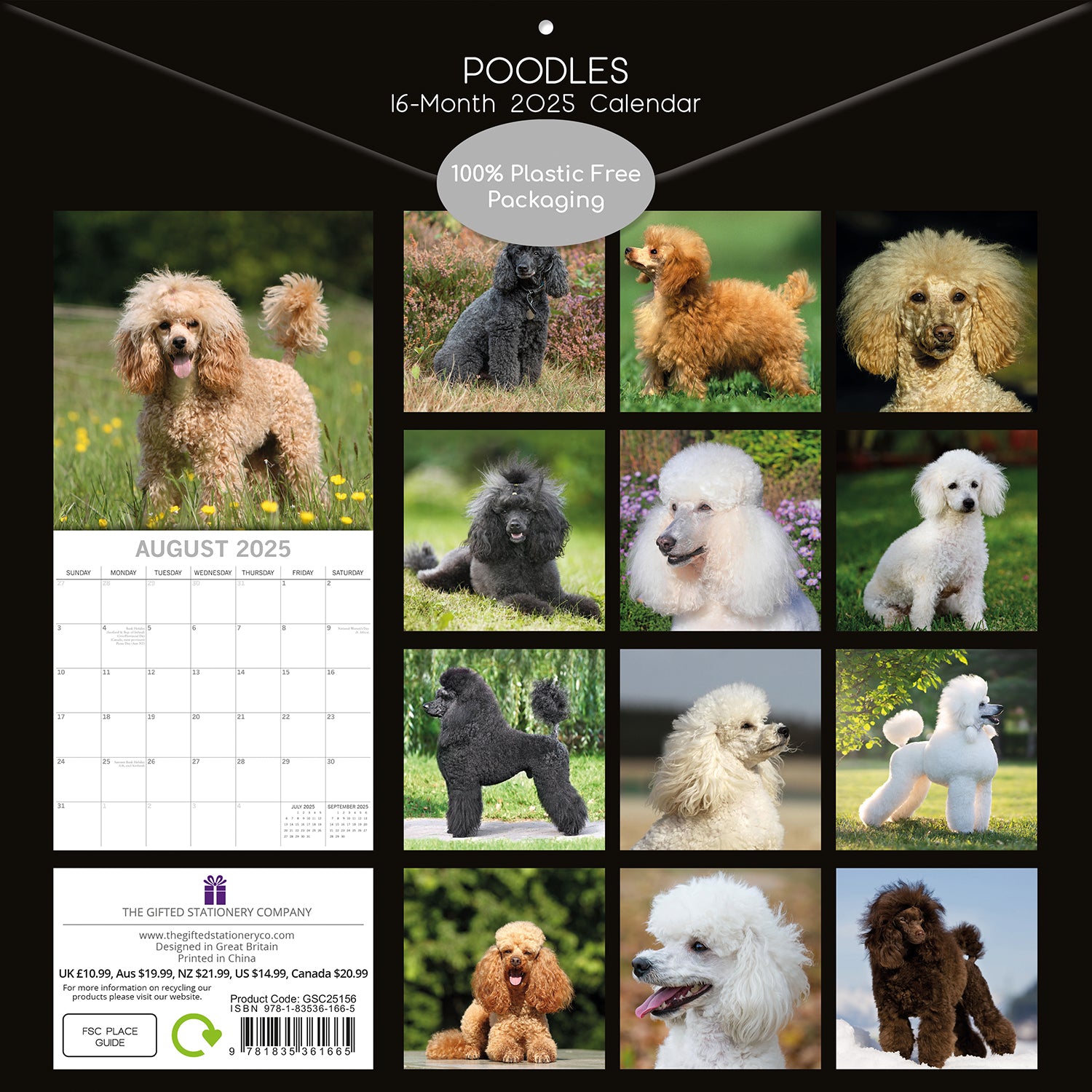 Poodles - 2025 Square Wall Calendar Dogs Pets Animals 16 Months Premium Planner V474-689789