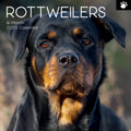 Rottweilers 2025 Square Wall Calendar Dogs Pets Animals 16-Month Premium Planner V474-689791