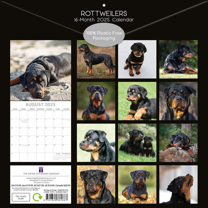 Rottweilers 2025 Square Wall Calendar Dogs Pets Animals 16-Month Premium Planner V474-689791