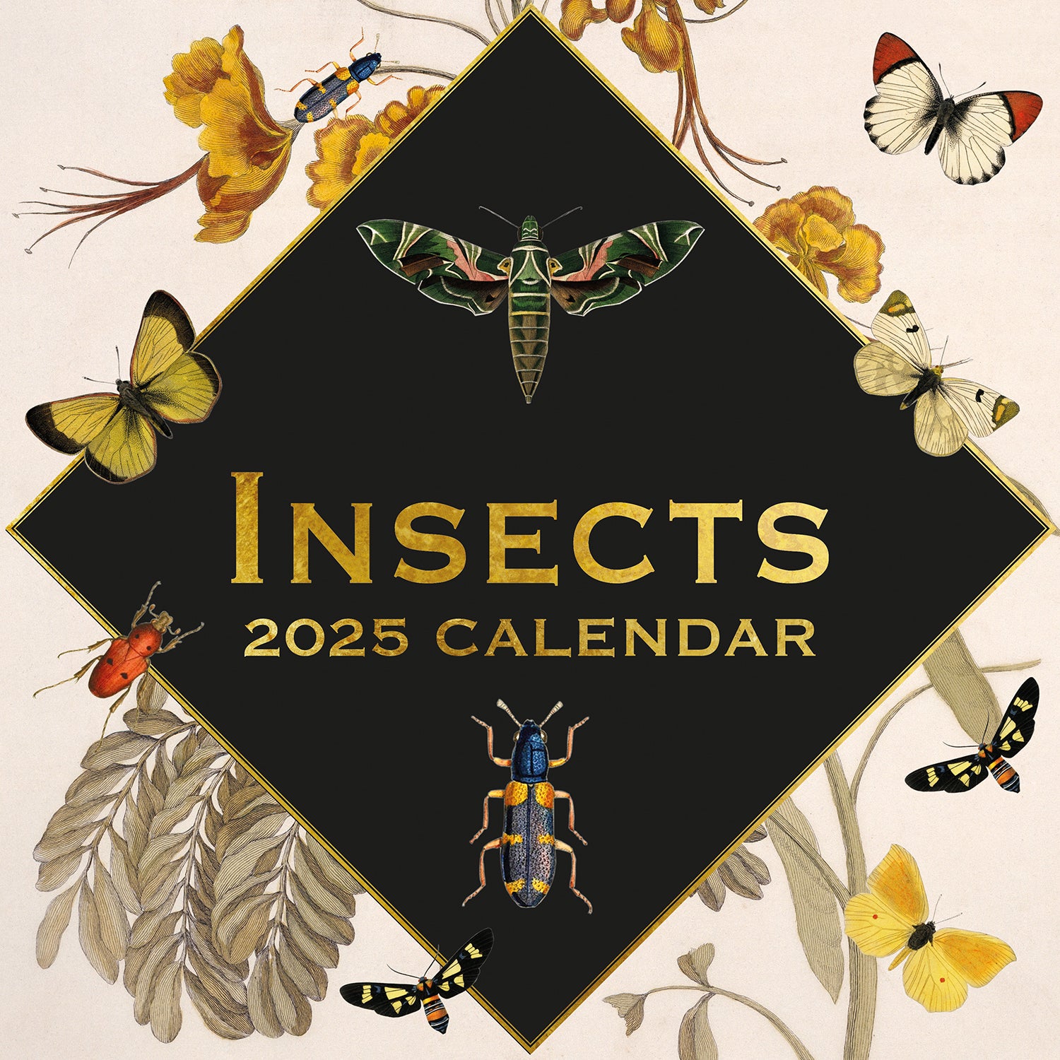 Insects - 2025 Square Wall Calendar Arts 16 Months Premium Planner Gift V474-689992
