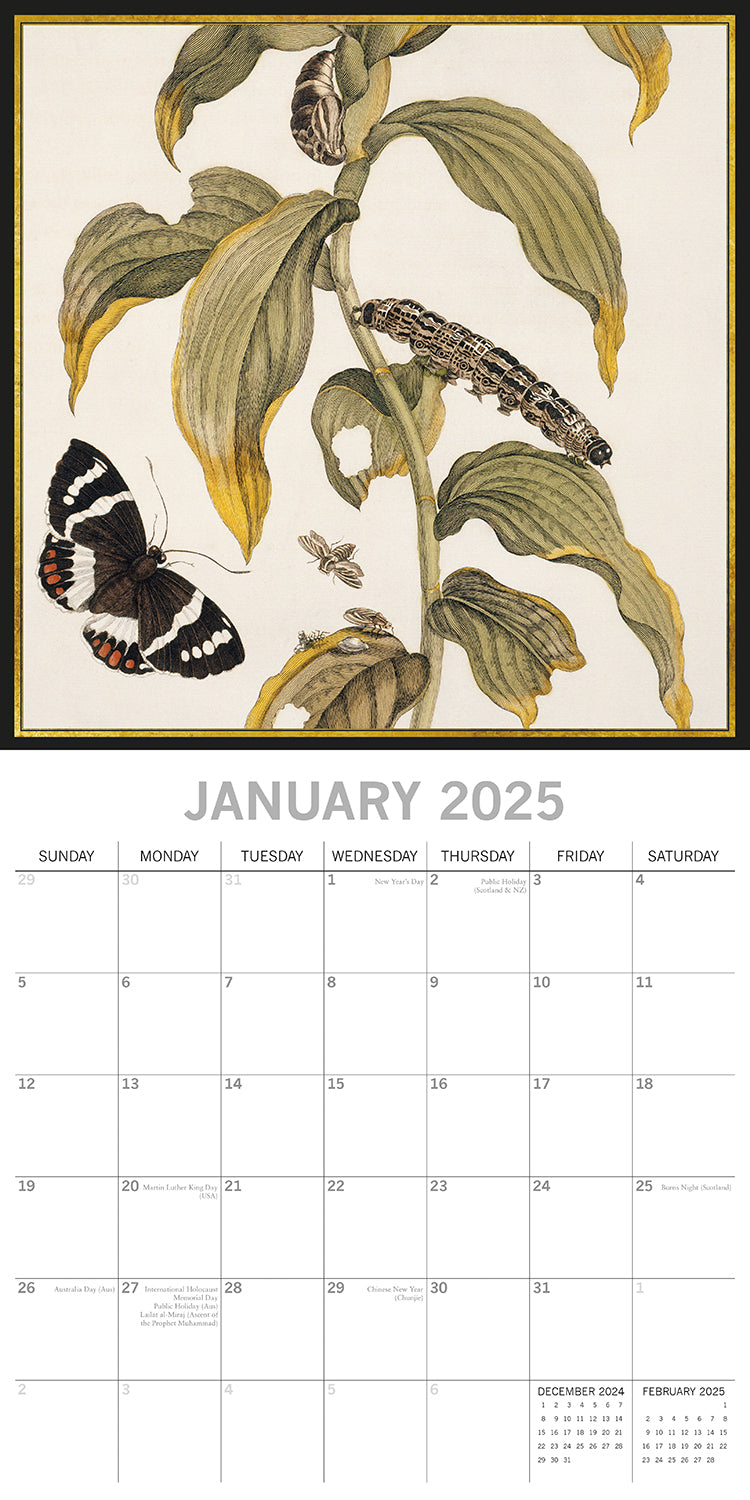 Insects - 2025 Square Wall Calendar Arts 16 Months Premium Planner Gift V474-689992