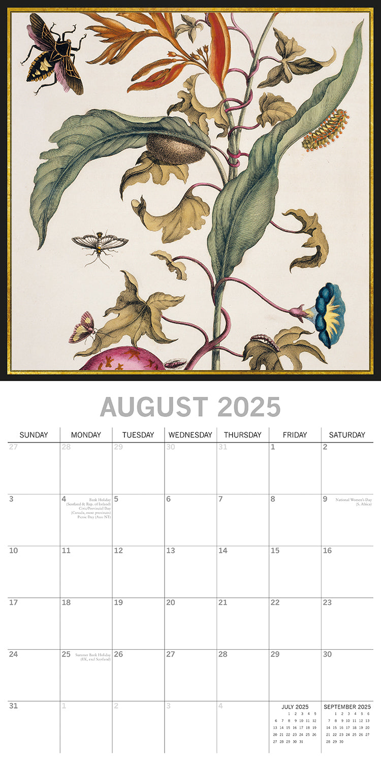 Insects - 2025 Square Wall Calendar Arts 16 Months Premium Planner Gift V474-689992