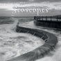 Seascapes - 2025 Square Wall Calendar 16 Months Premium Planner Christmas Gift V474-690028