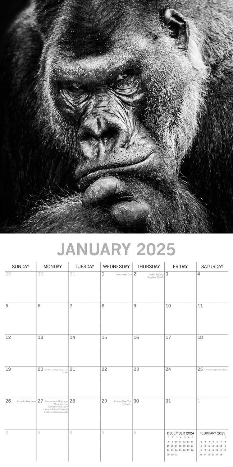 Seascapes - 2025 Square Wall Calendar 16 Months Premium Planner Christmas Gift V474-690028