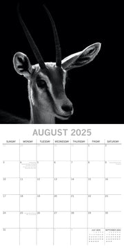 Seascapes - 2025 Square Wall Calendar 16 Months Premium Planner Christmas Gift V474-690028