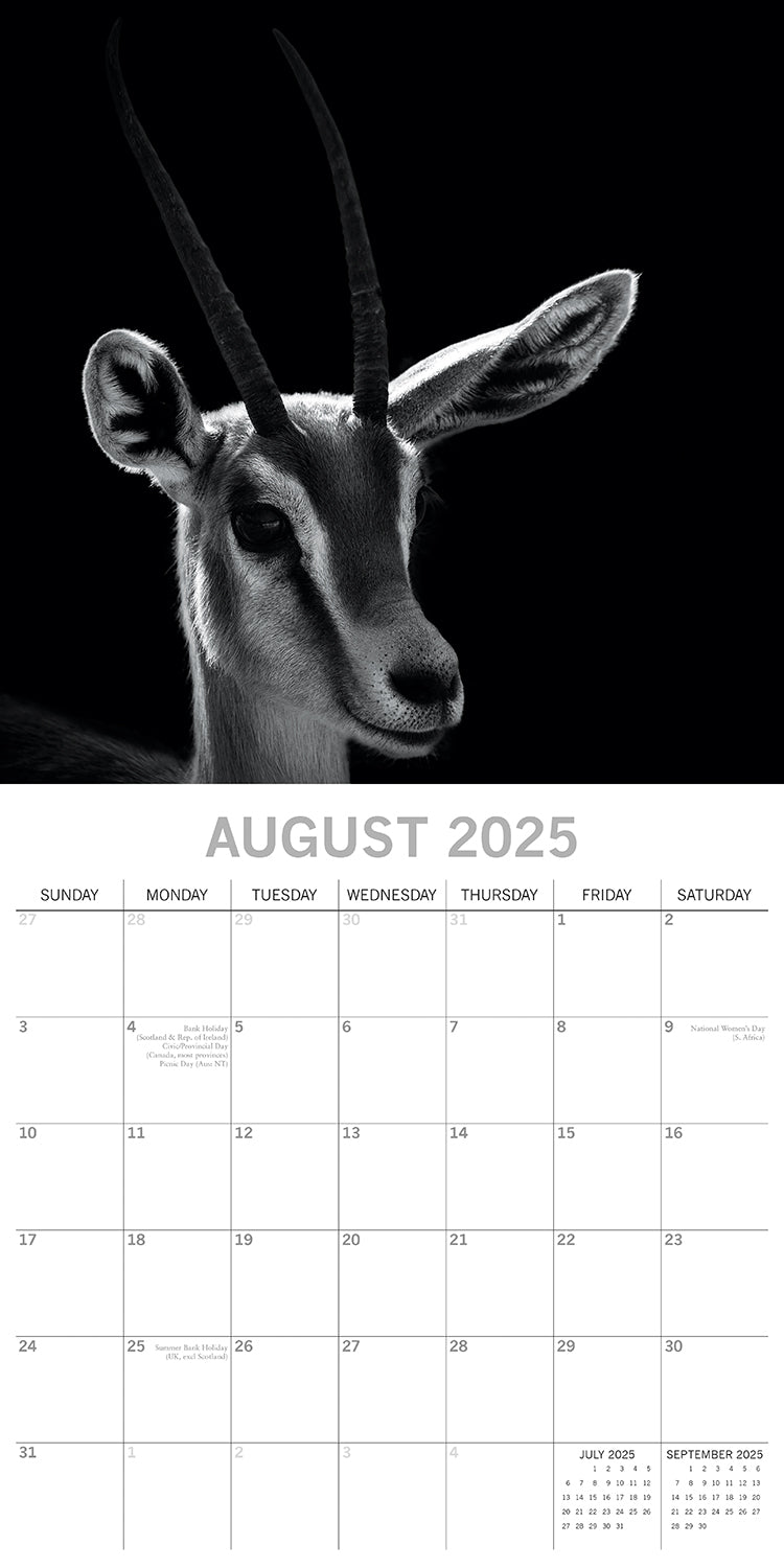 Seascapes - 2025 Square Wall Calendar 16 Months Premium Planner Christmas Gift V474-690028