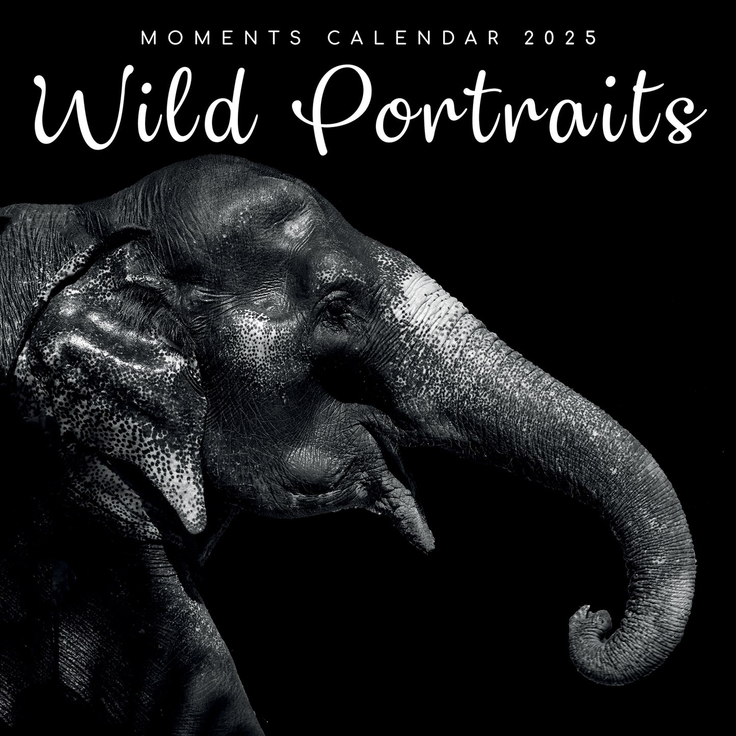 Seascapes - 2025 Square Wall Calendar 16 Months Premium Planner Christmas Gift V474-690028