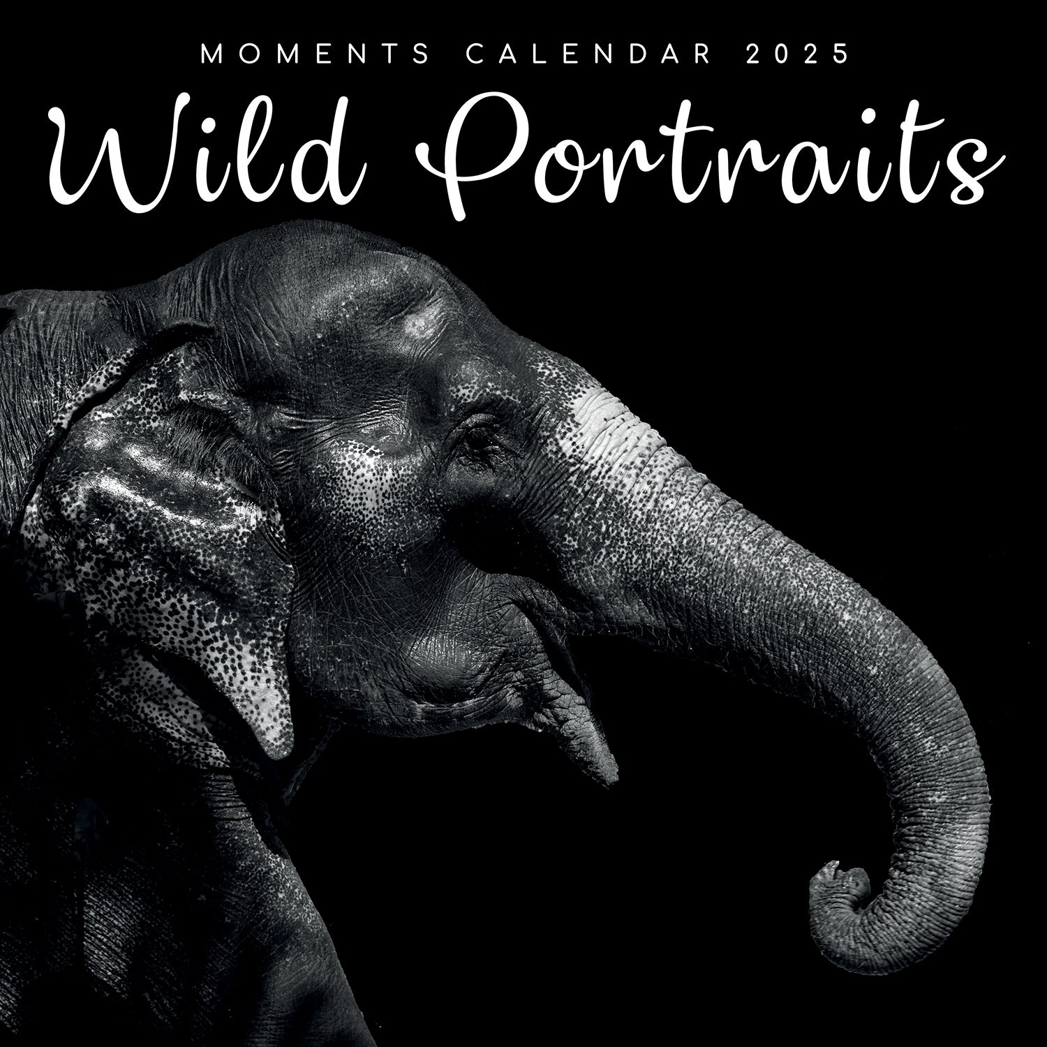 Seascapes - 2025 Square Wall Calendar 16 Months Premium Planner Christmas Gift V474-690028